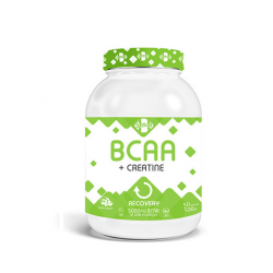 SUPERB Bcaa+Creatine 500 gram 